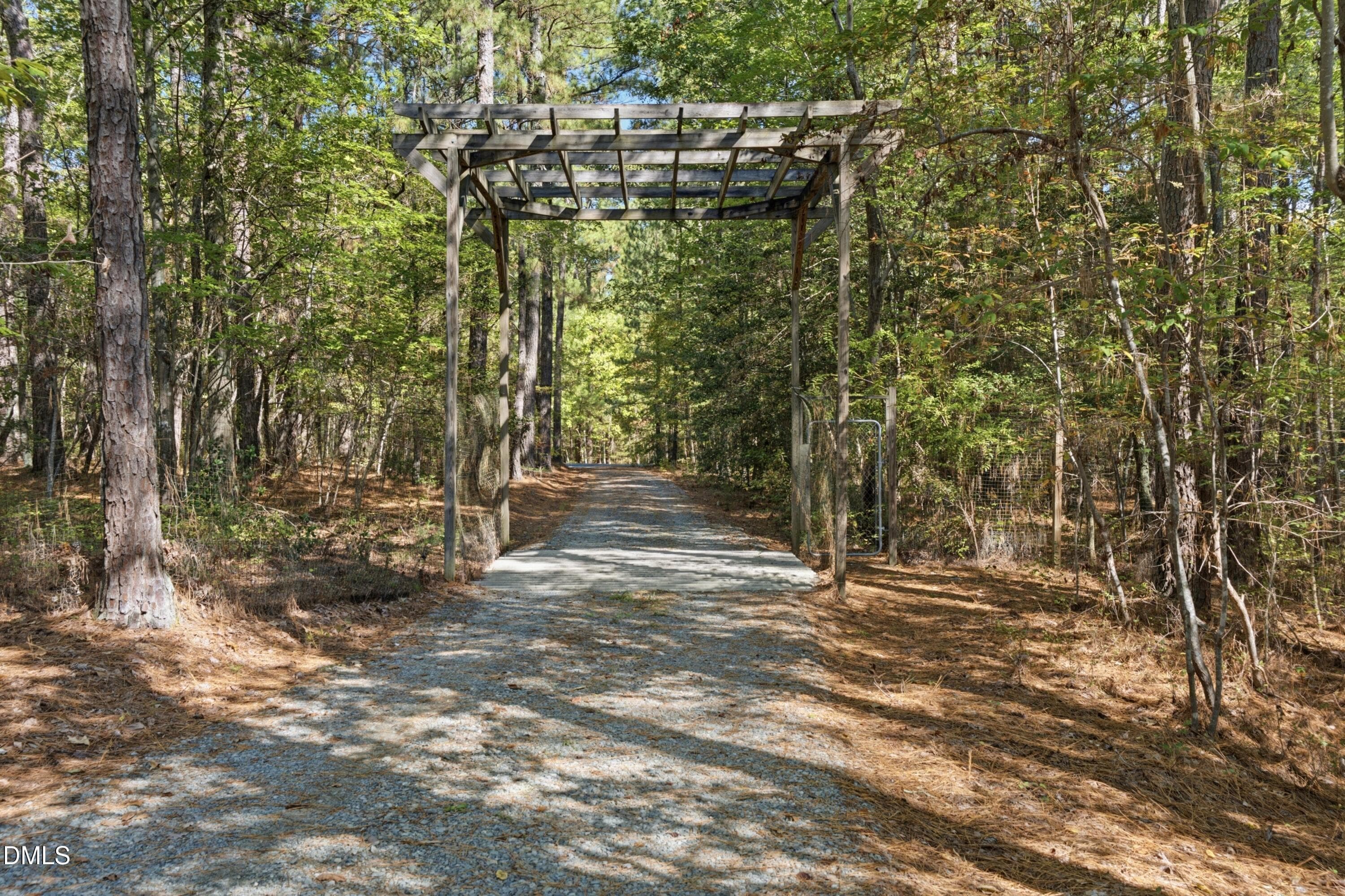 DSC09350 - 174 Carillon Drive, Pittsboro, NC 27312, Pittsboro