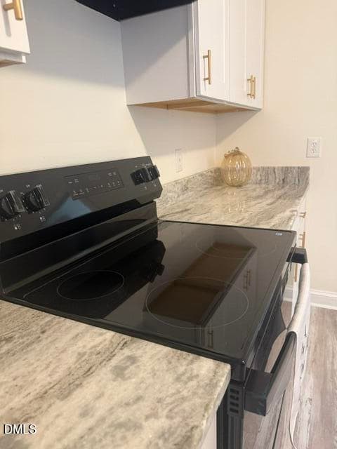 kit stove new - 704 E Maple Lane E, Fuquay Varina, NC 27526, Fuquay Varina