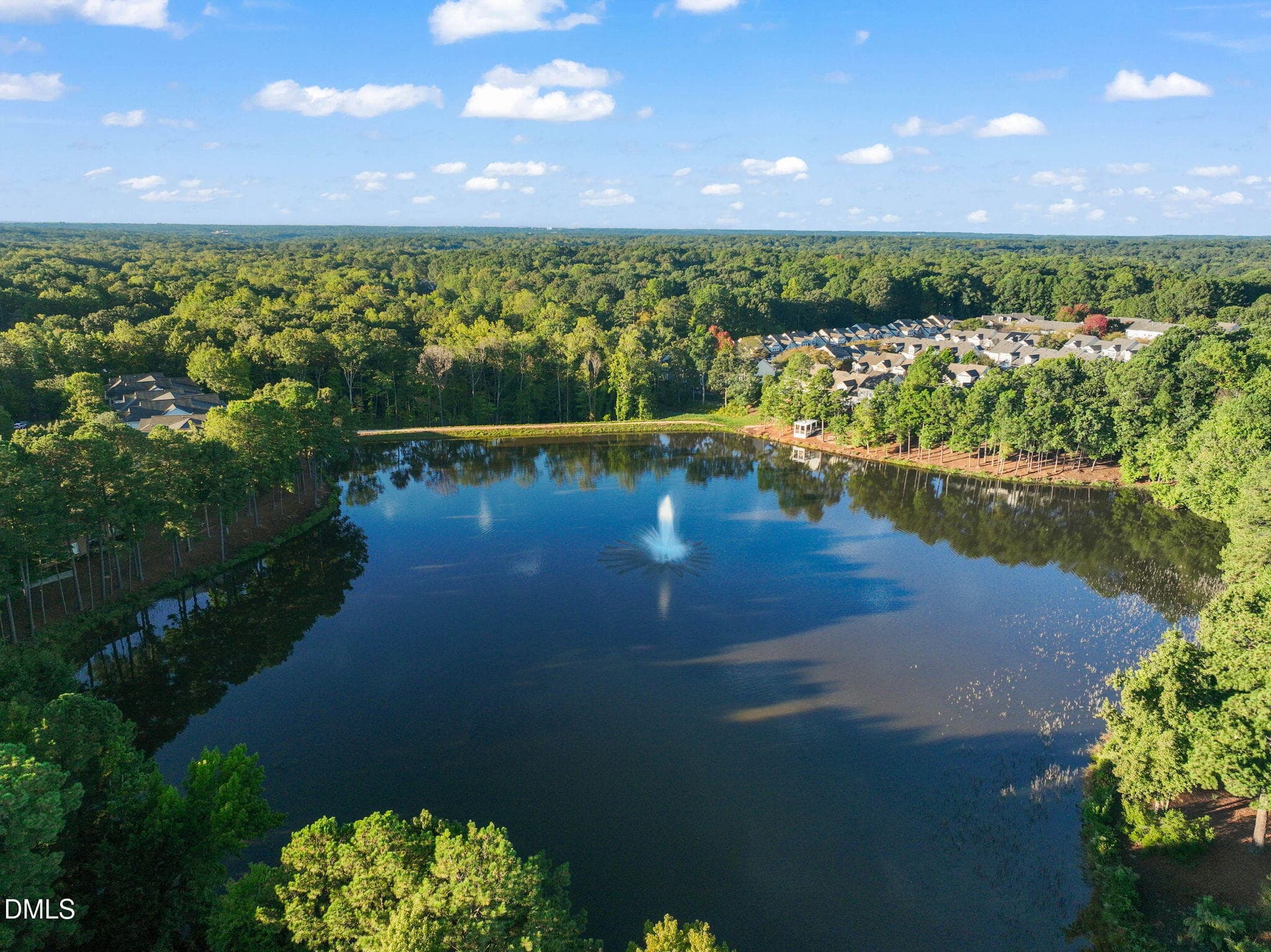 Aerial (4) - 8221 Allyns Landing Way, Raleigh, NC 27615, Raleigh