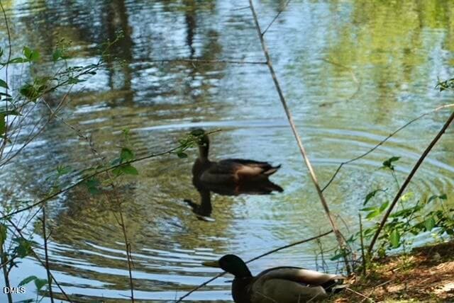 Fearrington Pond - 4230 Henderson Place, Pittsboro, NC 27312, Pittsboro