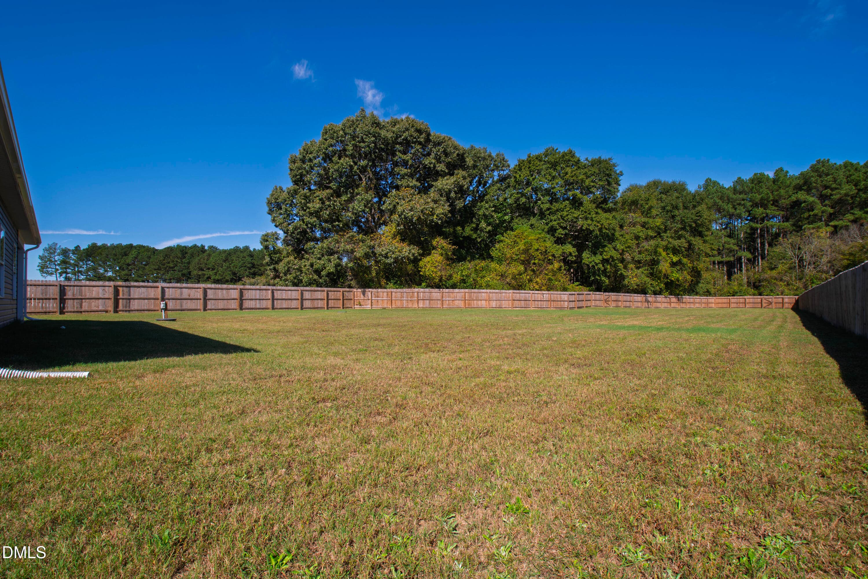 Backyard - 220 Citizens Court, Four Oaks, NC 27524, Four Oaks