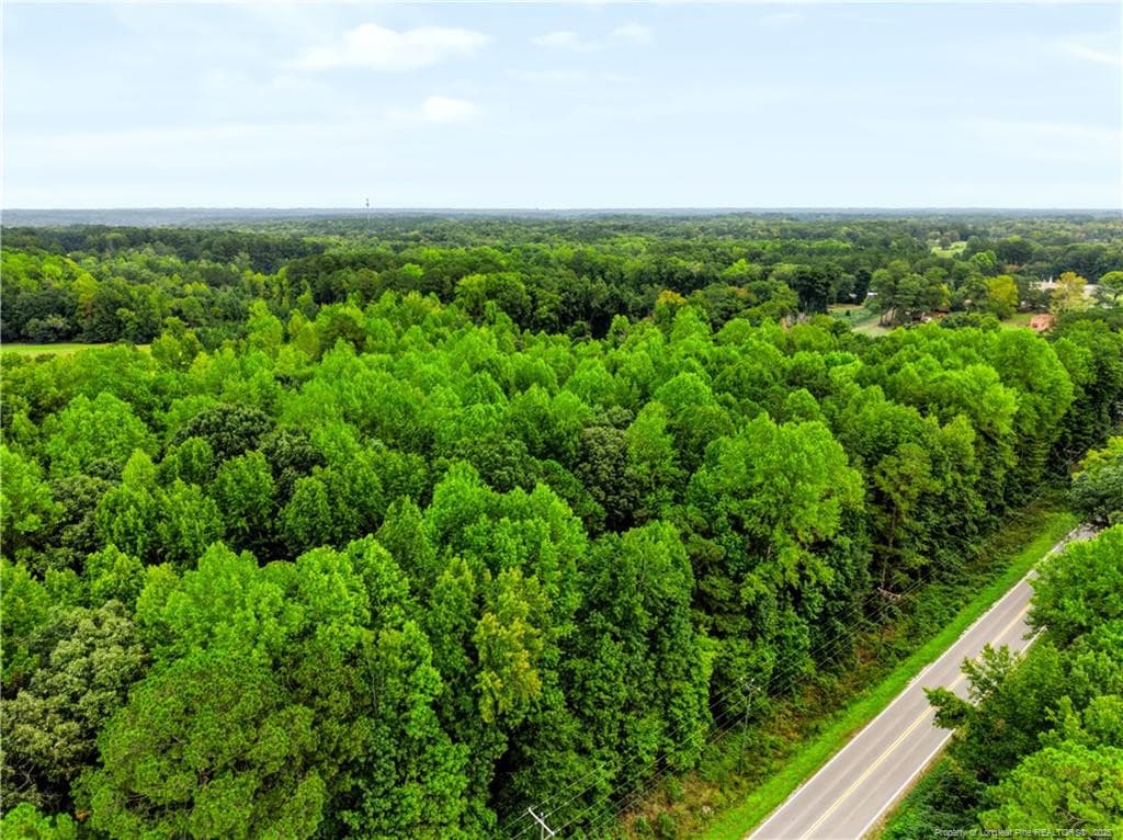 Photo 13 - tbd @ 8 acres Swanns Station Road, Sanford, NC 27332, Sanford