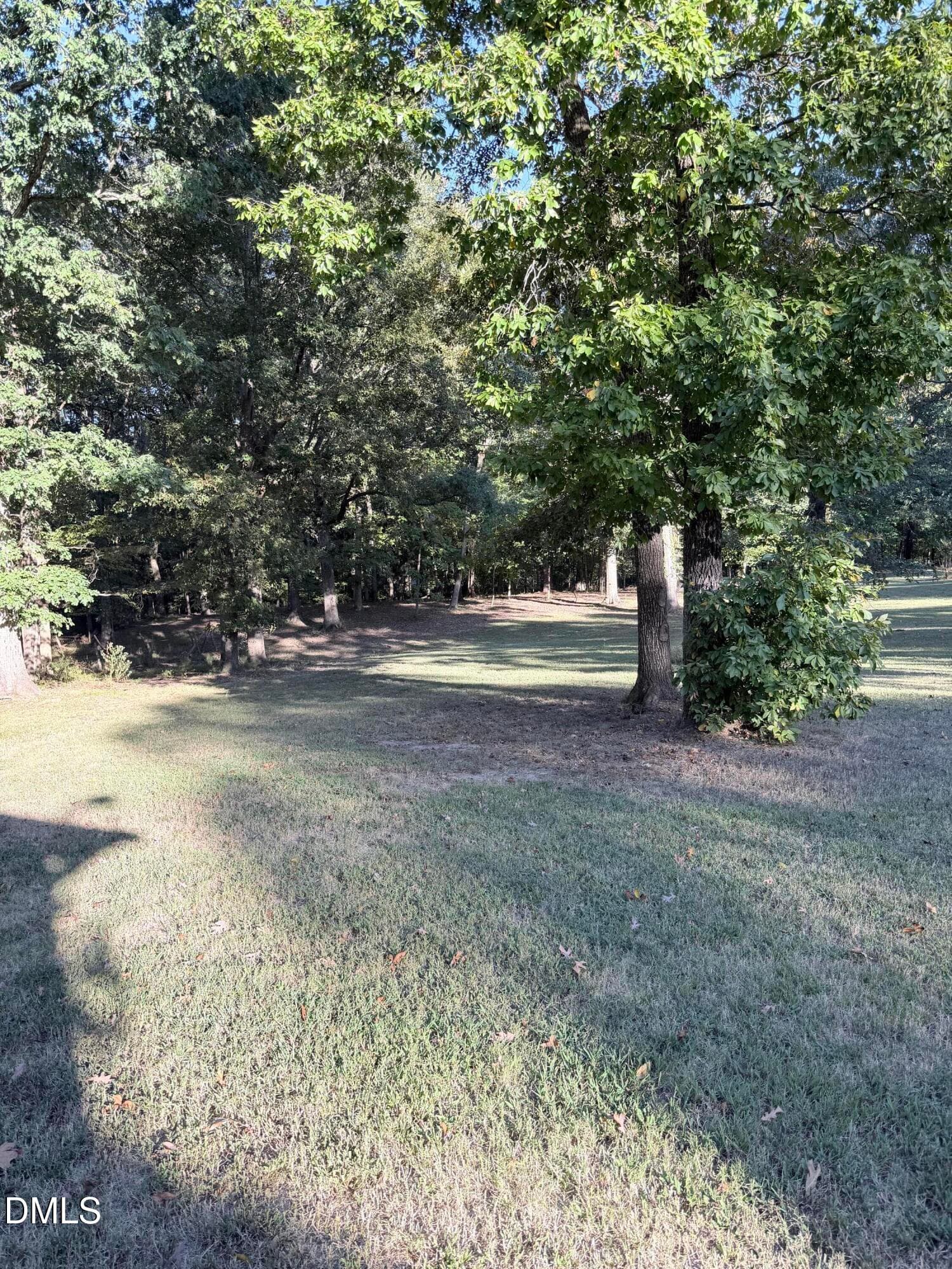 IMG_8908 - 309 Patterson Road, Durham, NC 27704