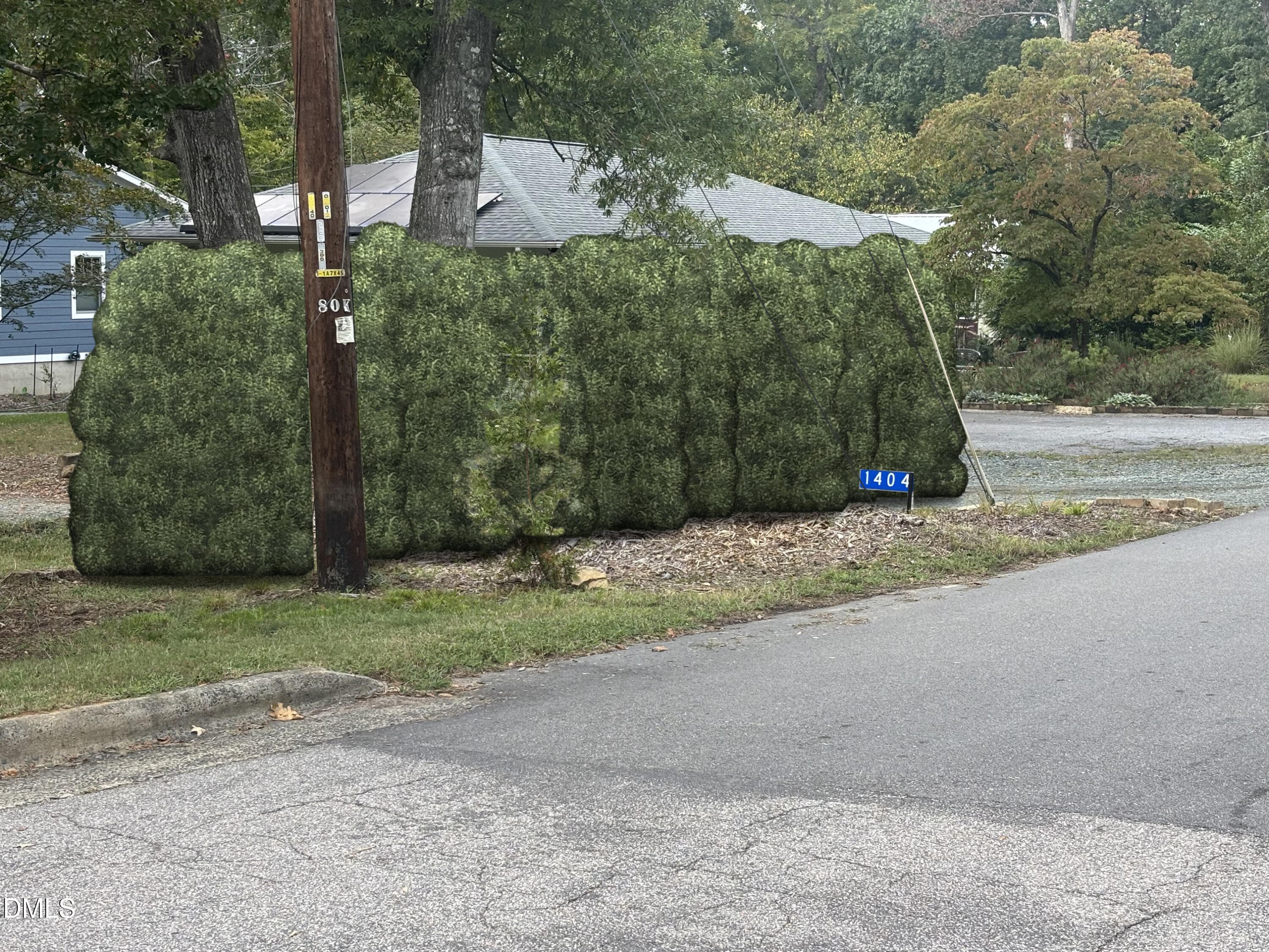 101 Hanna bushes - 101 Hanna Street, Carrboro, NC 27510