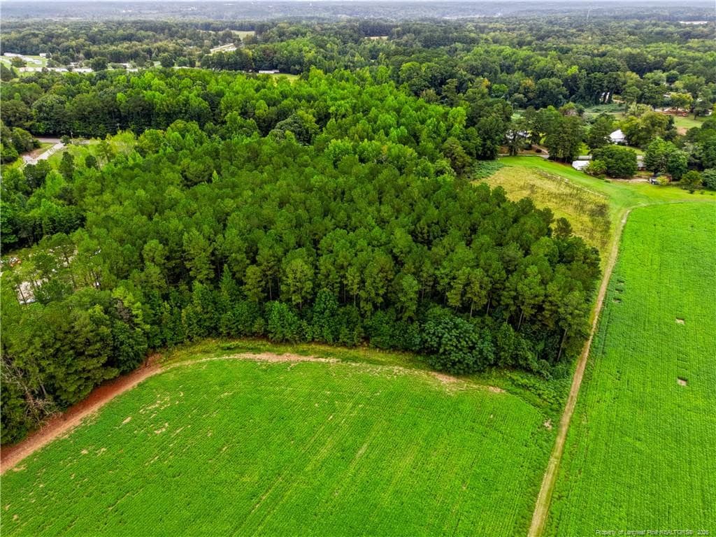 Rear View toward Road. - tbd @ 6 acres Swanns Station Road, Sanford, NC 27332, Sanford