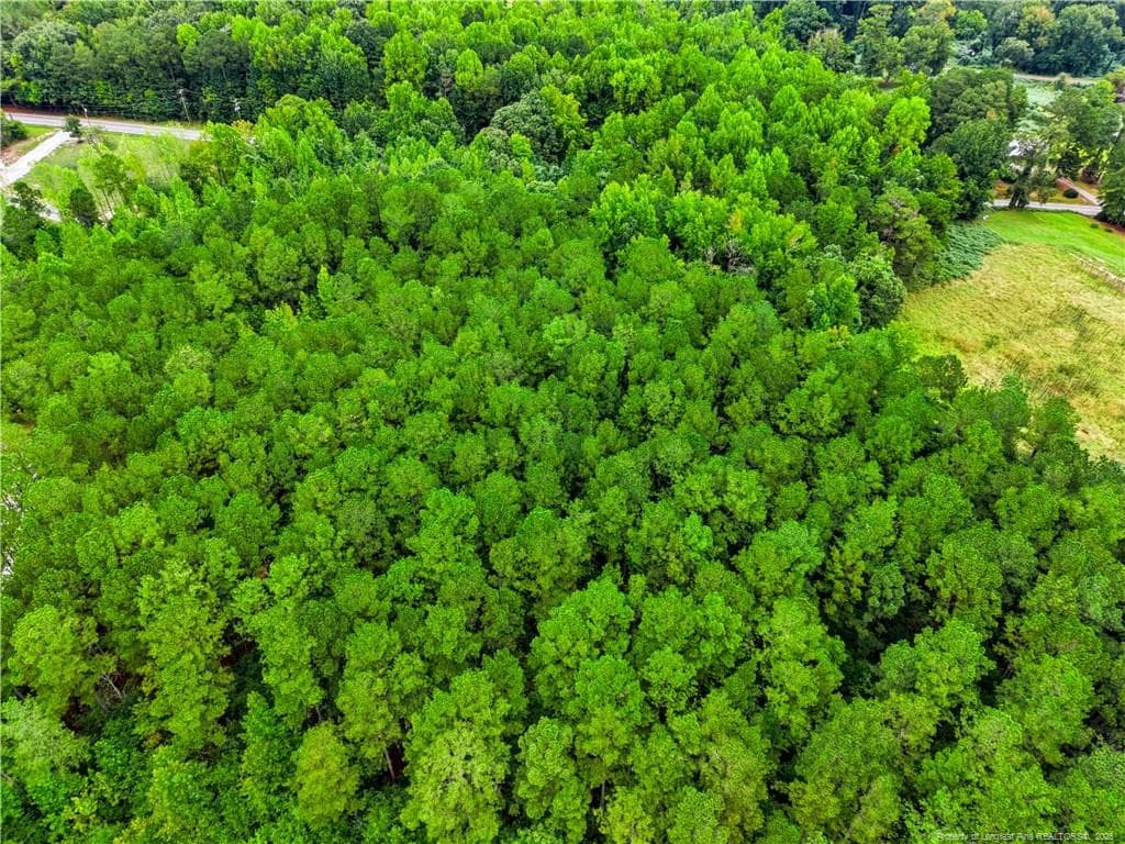 Rear view toward road - tbd @ 6 acres Swanns Station Road, Sanford, NC 27332, Sanford