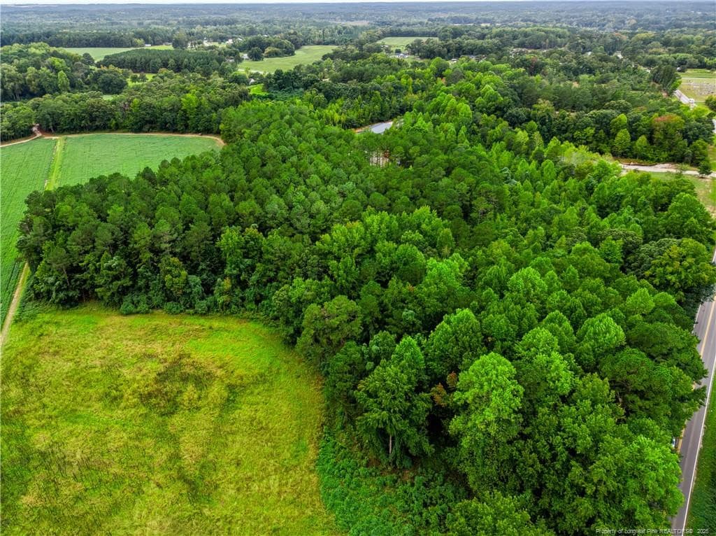 Addl view from above - tbd @ 6 acres Swanns Station Road, Sanford, NC 27332, Sanford