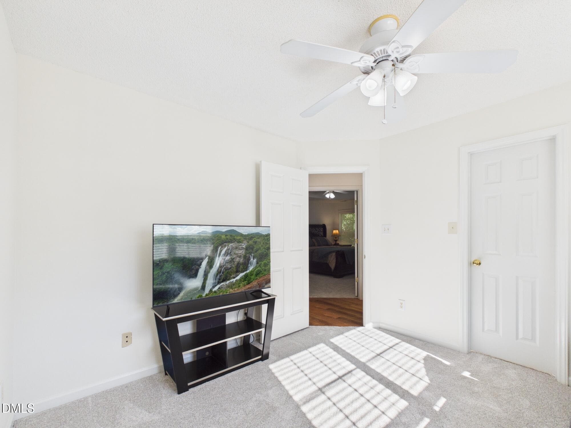 Bedroom 4 - 319 County Seat Drive, Hillsborough, NC 27278, Hillsborough