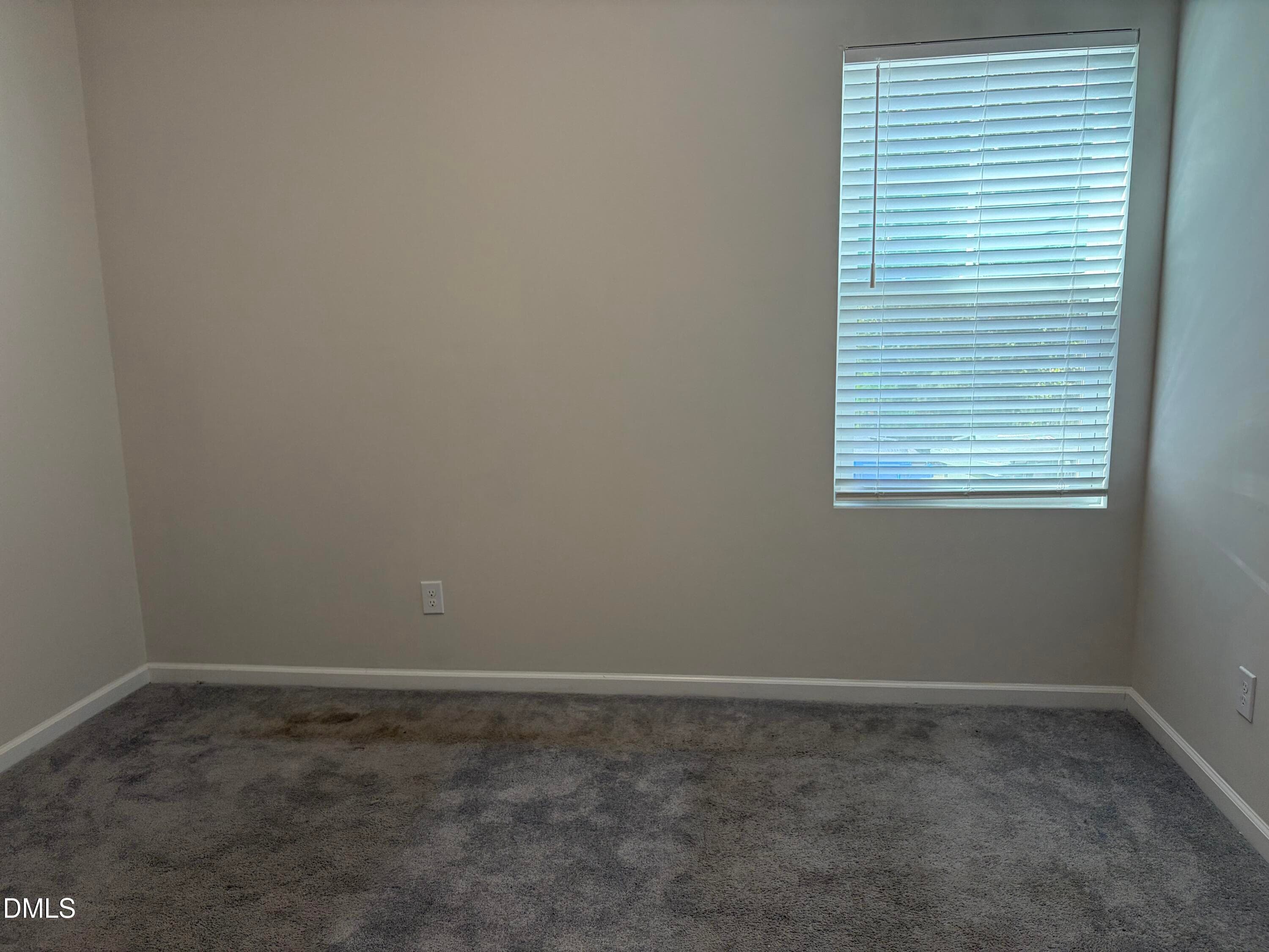 Guest Room - 2405 Tobacco Root Drive, Raleigh, NC 27616, Raleigh