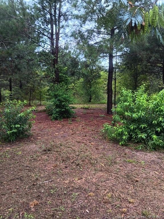 Photo 3 - Shannon Road, Shannon, NC 28386