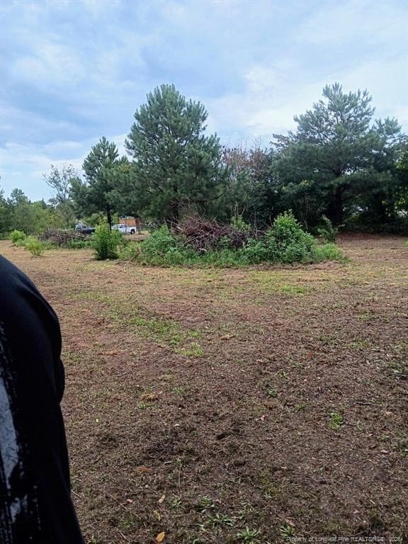 Photo 4 - Shannon Road, Shannon, NC 28386