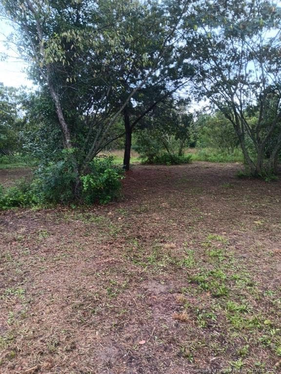 Photo 7 - Shannon Road, Shannon, NC 28386