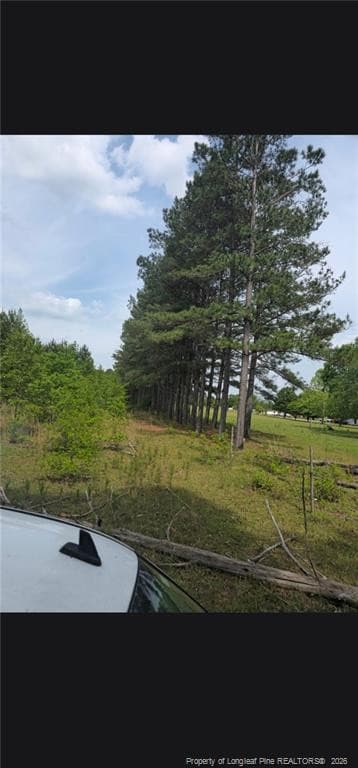 Photo 10 - Shannon Road, Shannon, NC 28386