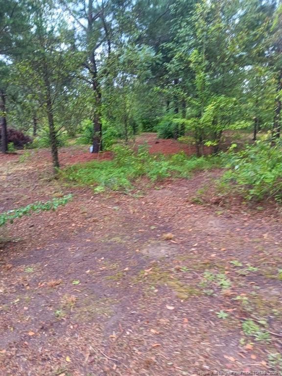 Photo 13 - Shannon Road, Shannon, NC 28386