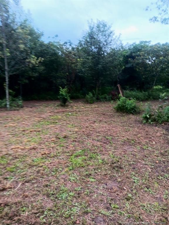 Photo 14 - Shannon Road, Shannon, NC 28386