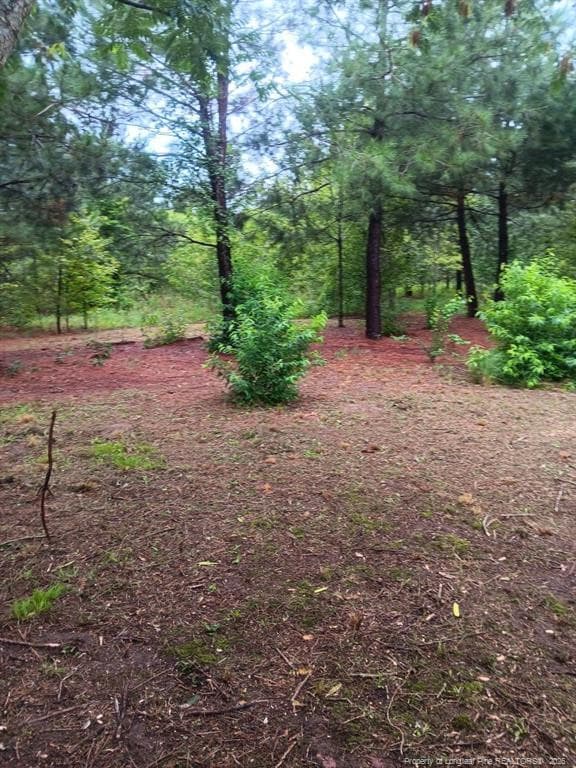 Photo 15 - Shannon Road, Shannon, NC 28386