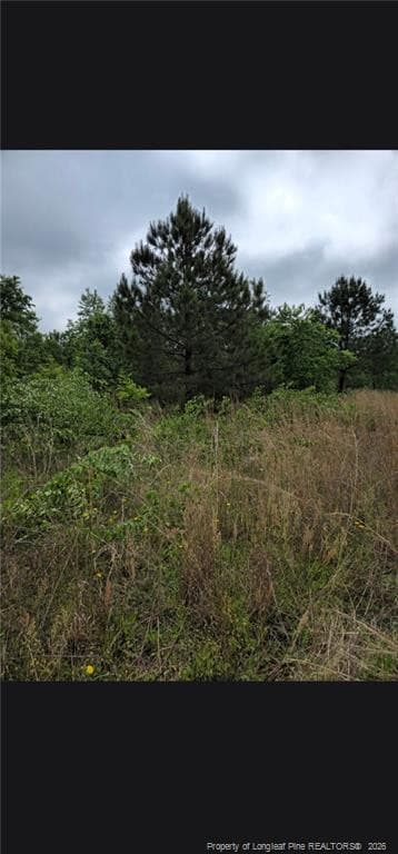 Photo 16 - Shannon Road, Shannon, NC 28386