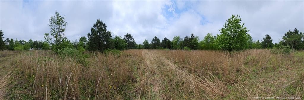 Photo 17 - Shannon Road, Shannon, NC 28386