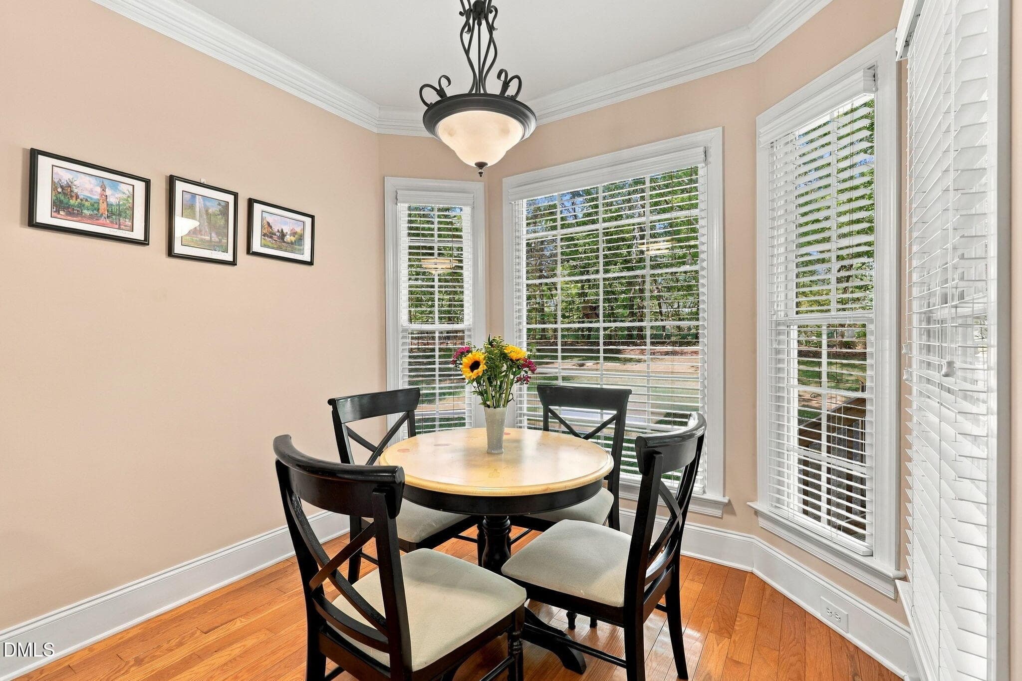 20-web-or-mls-IMG_8968 - 125 Scotts Pine Circle, Wake Forest, NC 27587, Wake Forest