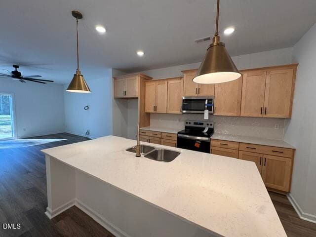 IMG_2923 - 205 Kerag Way, Garner, NC 27529