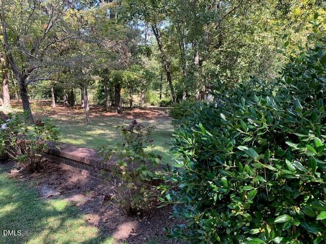 IMG_3563 - 805 S Parrish Street, Lillington, NC 27546, Lillington