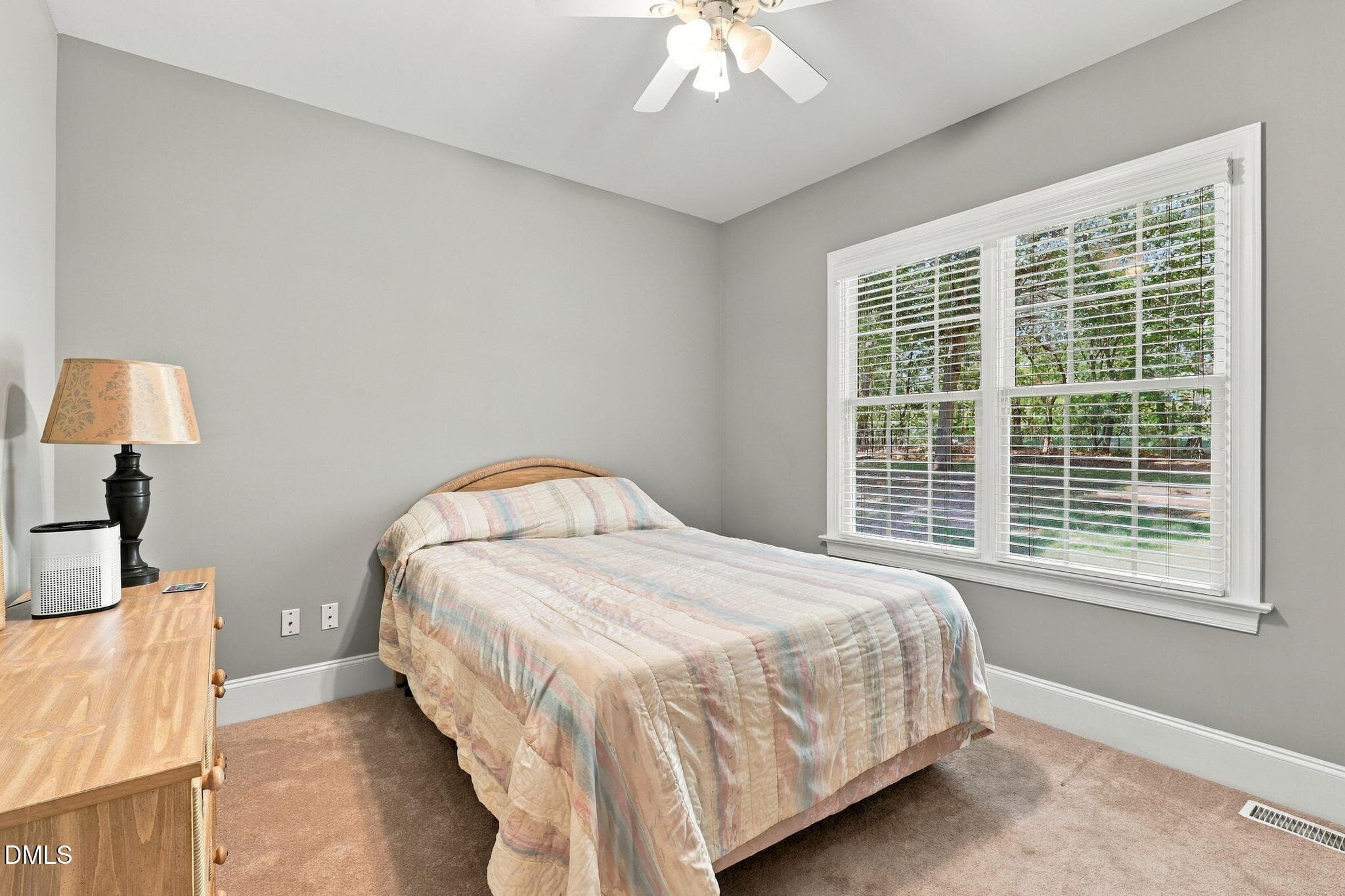 21-web-or-mls-IMG_8974 - 125 Scotts Pine Circle, Wake Forest, NC 27587, Wake Forest