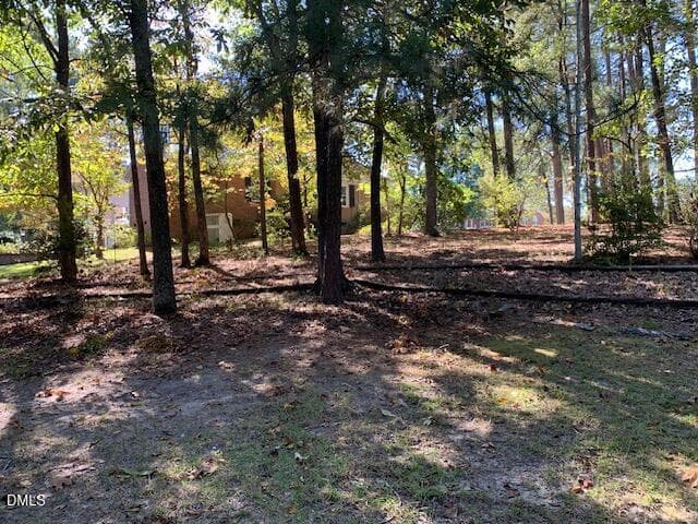 IMG_3751 - 805 S Parrish Street, Lillington, NC 27546, Lillington