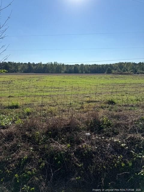 Photo 5 - Union School Road, Rowland, NC 28383