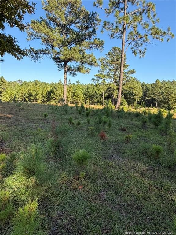 Photo 18 - 690 Poole Road, Raeford, NC 28376