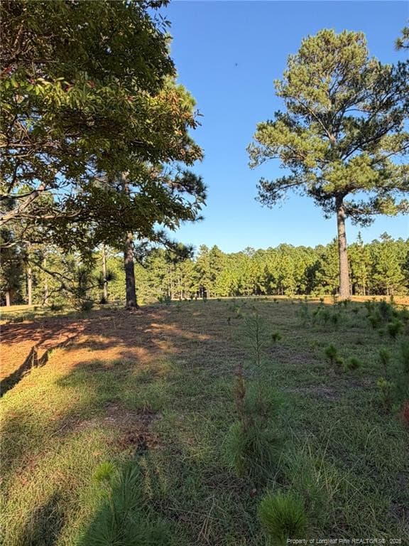 Photo 19 - 690 Poole Road, Raeford, NC 28376