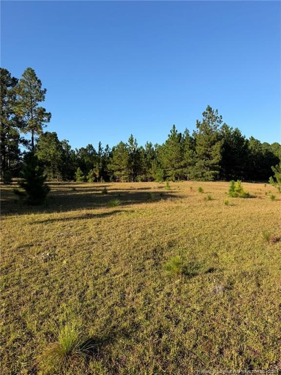 Photo 25 - 690 Poole Road, Raeford, NC 28376