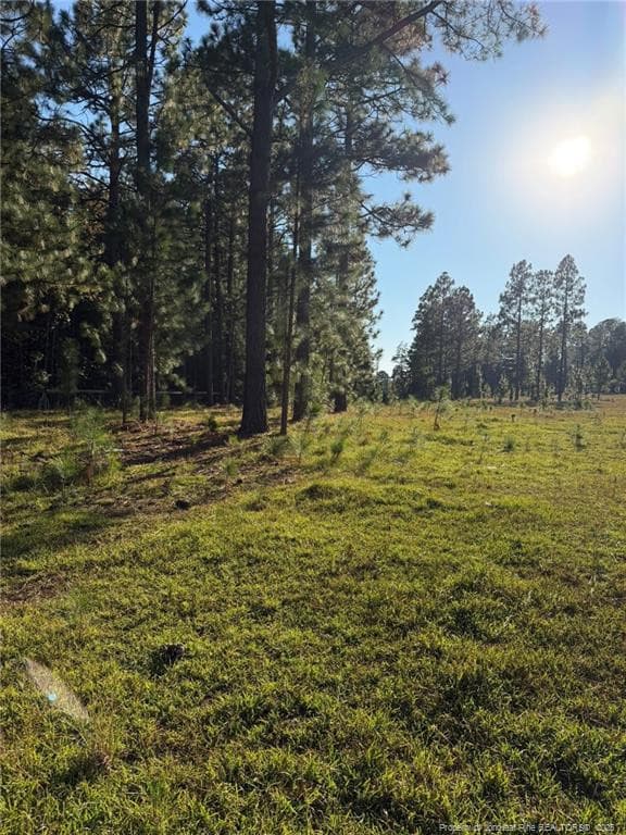 Photo 30 - 690 Poole Road, Raeford, NC 28376