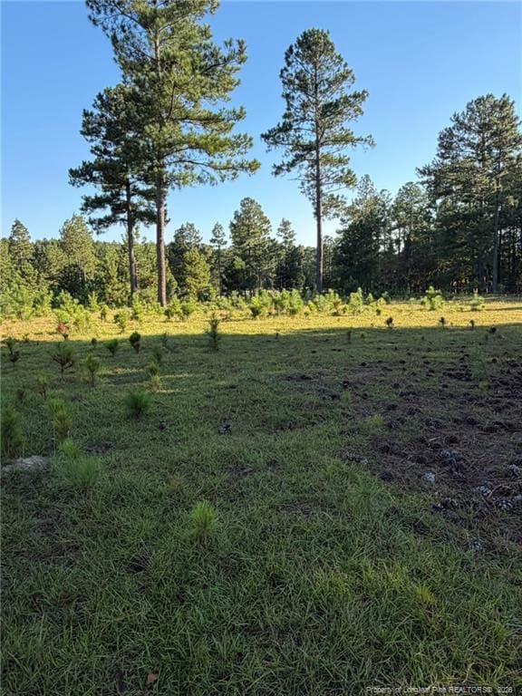 Photo 40 - 690 Poole Road, Raeford, NC 28376