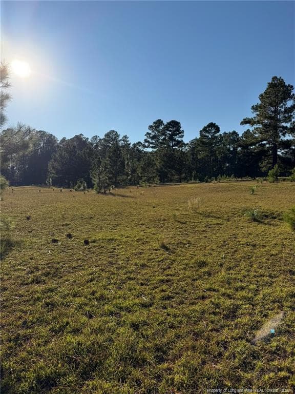 Photo 45 - 690 Poole Road, Raeford, NC 28376