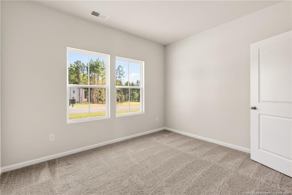 Photo 10 - 172 Phoenix Drive, Bunnlevel, NC 28323
