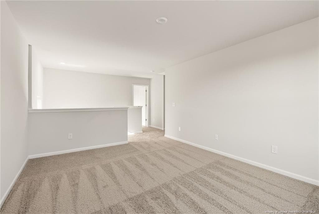 Photo 13 - 172 Phoenix Drive, Bunnlevel, NC 28323