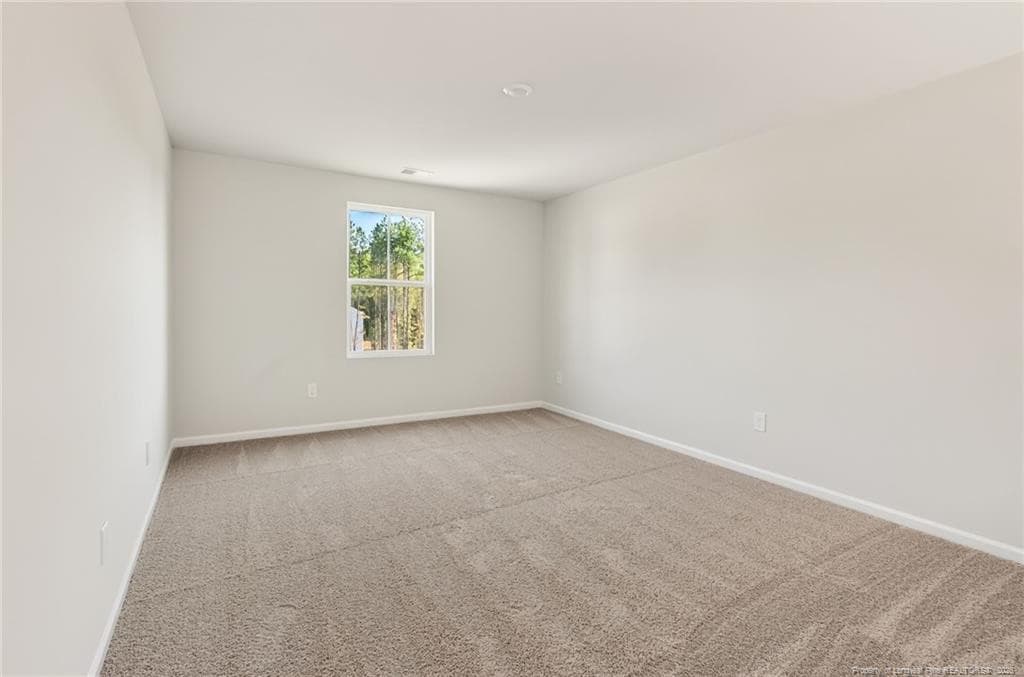 Photo 14 - 172 Phoenix Drive, Bunnlevel, NC 28323