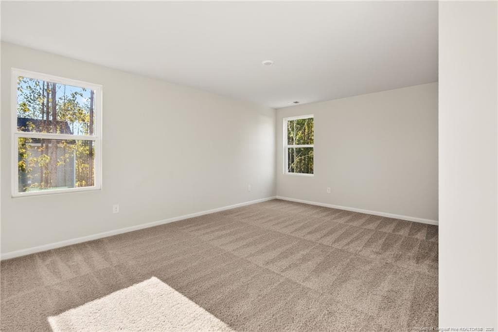 Photo 15 - 172 Phoenix Drive, Bunnlevel, NC 28323
