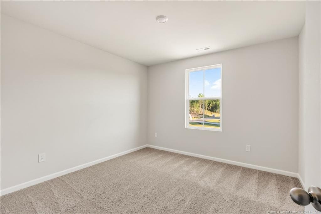 Photo 25 - 172 Phoenix Drive, Bunnlevel, NC 28323