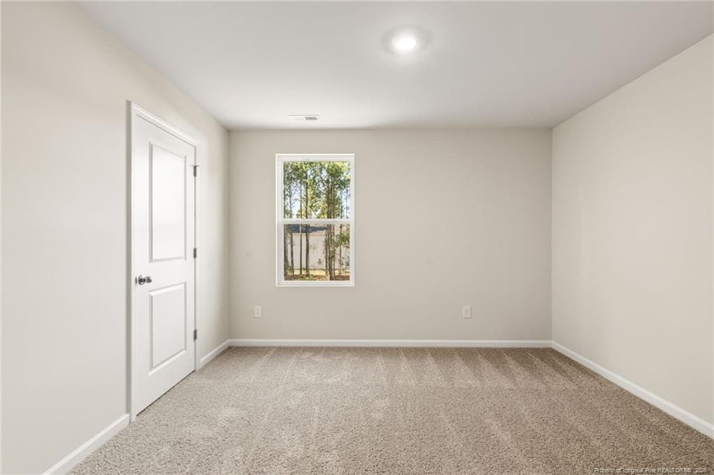 Photo 31 - 172 Phoenix Drive, Bunnlevel, NC 28323