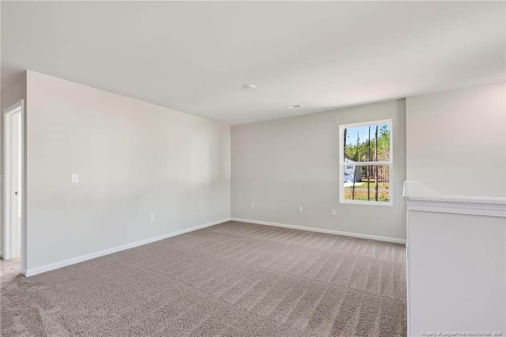 Photo 19 - 38 Meadows Lane, Bunnlevel, NC 28323