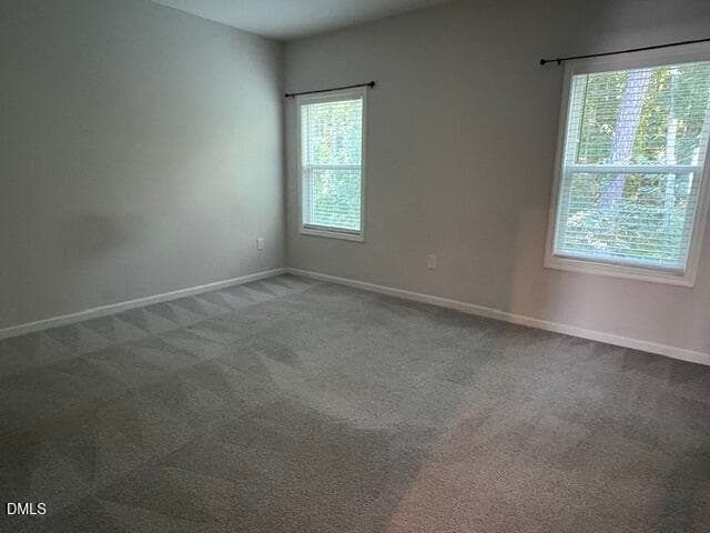 IMG_5029 - 800 Star Ridge Drive, Raleigh, NC 27610