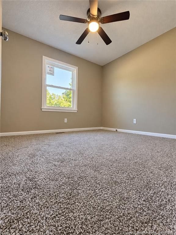 Photo 9 - 912 Winterberry Drive, Fayetteville, NC 28314, Fayetteville