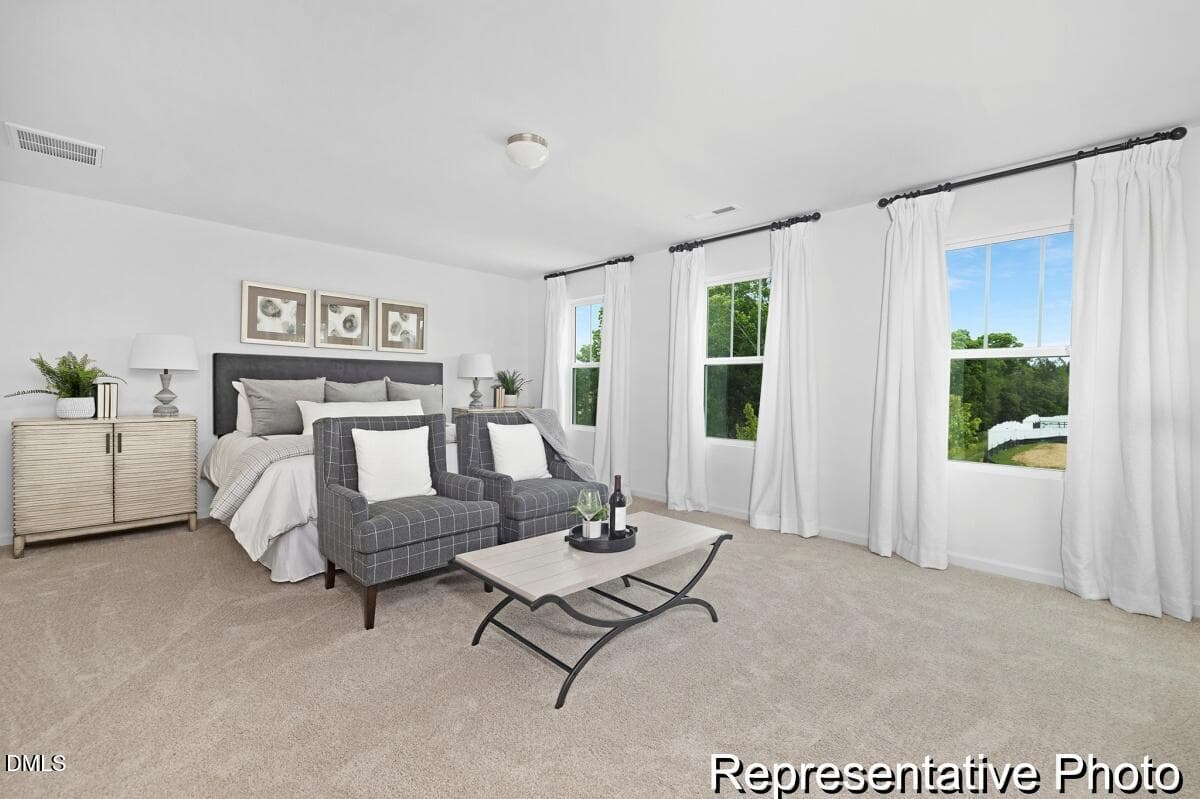 FTC 2 Whitney 2290 EC3 IO SRC Model (16) - 44 Open Meadow Court 96, Lillington, NC 27546, Lillington