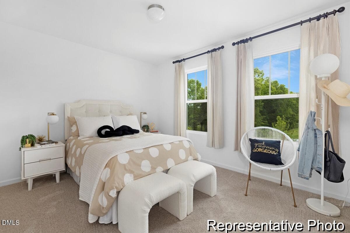 FTC 2 Whitney 2290 EC3 IO SRC Model (22) - 44 Open Meadow Court 96, Lillington, NC 27546, Lillington
