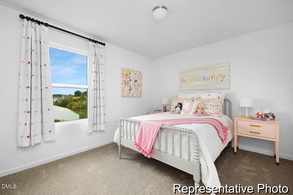 FTC 2 Whitney 2290 EC3 IO SRC Model (24) - 44 Open Meadow Court 96, Lillington, NC 27546, Lillington