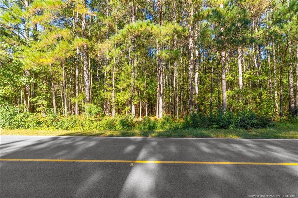 Photo 2 - TBD Emma Jane Road, St. Pauls, NC 28384, St. Pauls