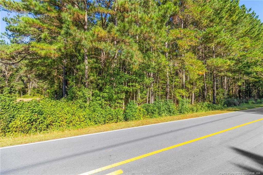 Photo 3 - TBD Emma Jane Road, St. Pauls, NC 28384, St. Pauls