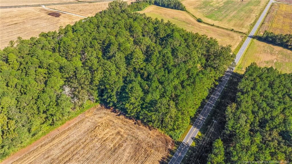 Photo 4 - TBD Emma Jane Road, St. Pauls, NC 28384, St. Pauls