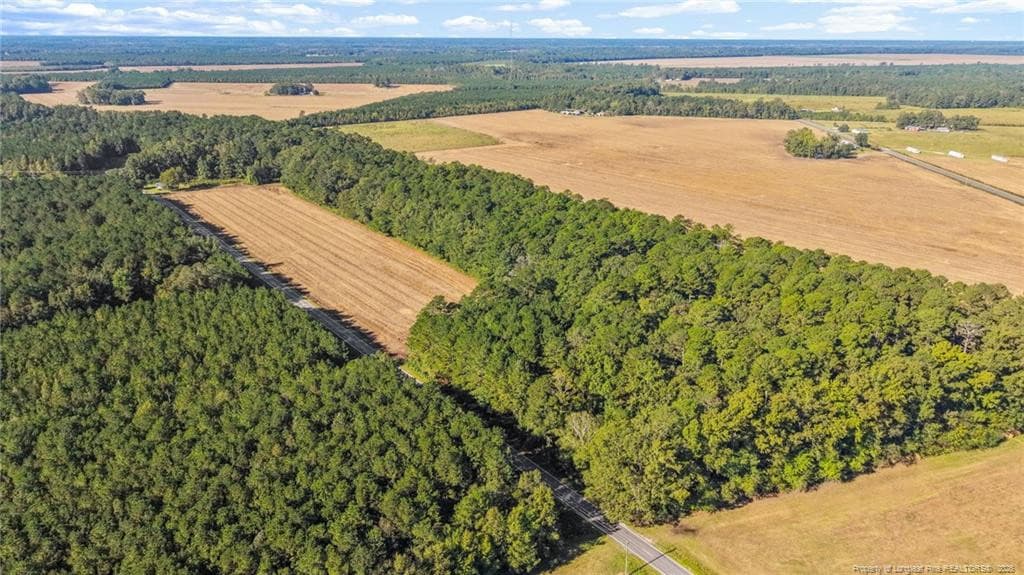 Photo 6 - TBD Emma Jane Road, St. Pauls, NC 28384